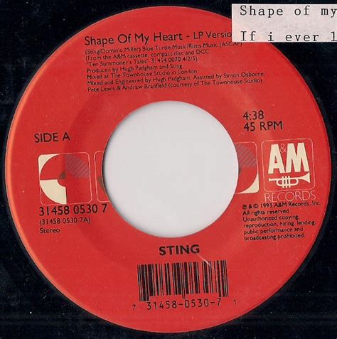 Sting - Shape Of My Heart (1993, Specialty Pressing, Vinyl) | Discogs