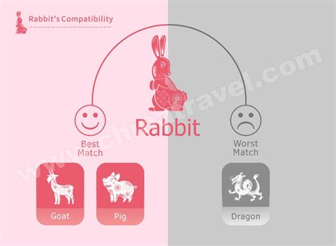 Year of the Rabbit - A Year of Peace and Hope