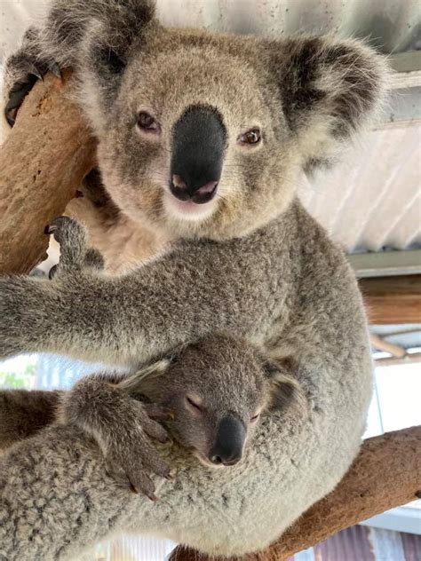 The Hunter Valley Zoo in NSW have named their newest arrival. Meet ...