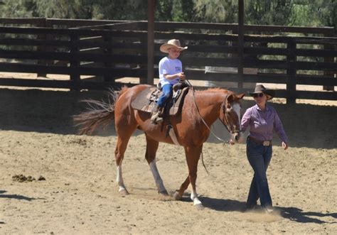 Boy being led on horse