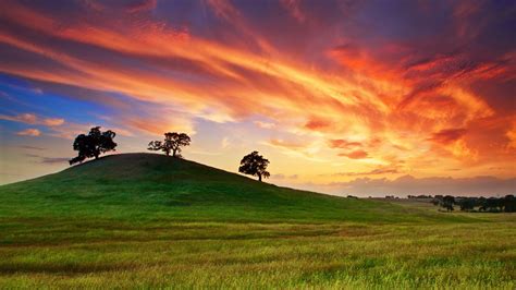 USA California spring sunset grass hill trees red sky - High Definition ...