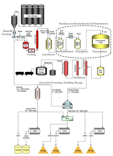 Ethanol Fermentation Diagram