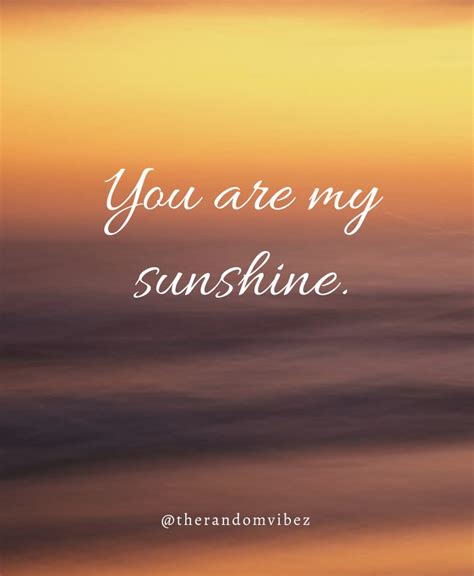 80 You Are My Sunshine Quotes To Brighten Your Day – The Random Vibez