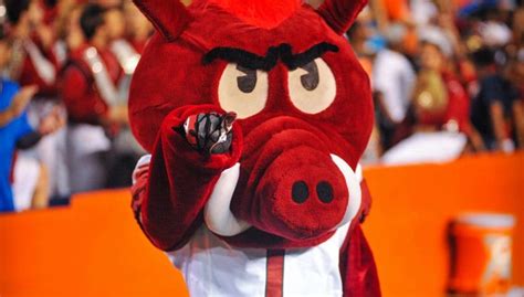 Scouting the Arkansas Razorbacks | GatorCountry.com