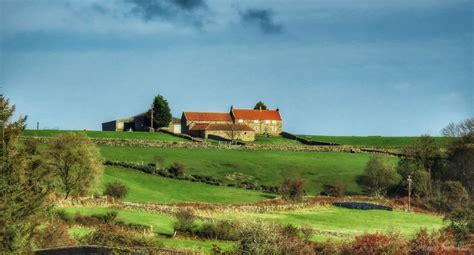 Hilltop farm by Margaret Brown · 365 Project