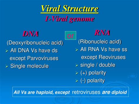 PPT - Introduction to medical virology “ Viral structure and Classification” PowerPoint ...