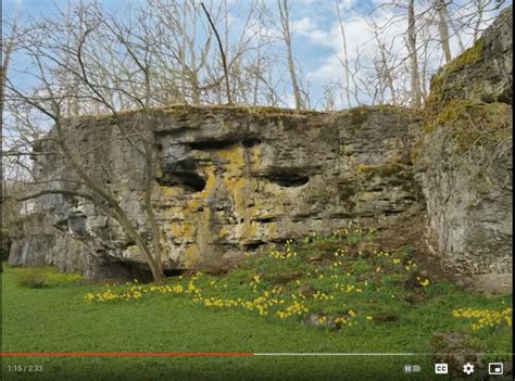 Ferncliff Cemetery & Arboretum | Springfield OH