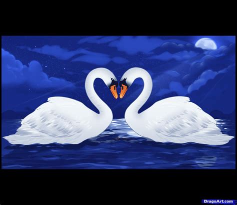 Swan Heart Drawing at PaintingValley.com | Explore collection of Swan ...