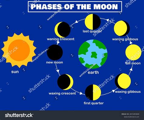 First Quarter Moon Phase Diagram