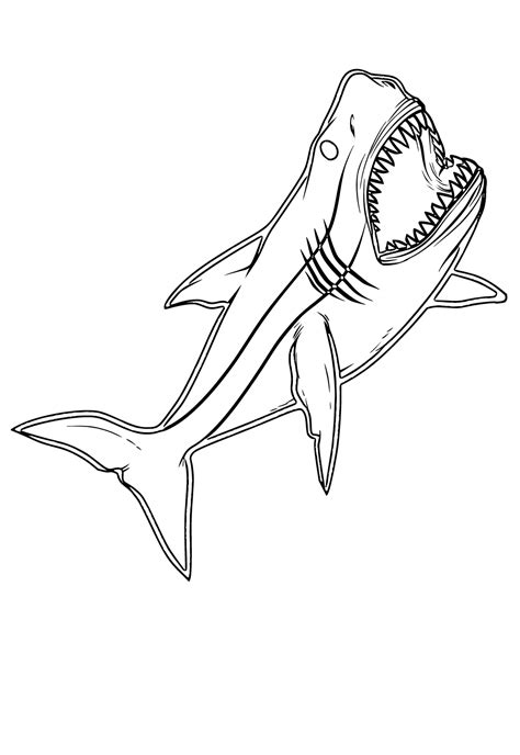Free Printable Great White Shark 3D Coloring Page, Sheet and Picture for Adults and Kids (Girls ...