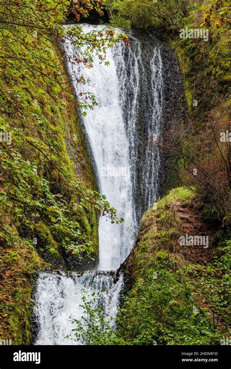 Bridal Veil Falls; Columbia River Gorge; Oregon; USA Stock Photo - Alamy