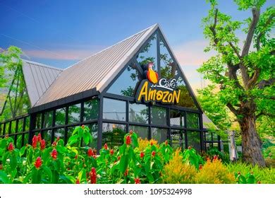 Cafe amazon logo 1,412 รายการ ภาพ ภาพสต็อกและเวกเตอร์ | Shutterstock