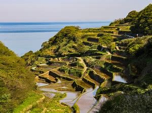 Hamanoura Rice Terrace (Saga Prefecture) - Let's travel around Japan!