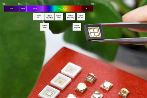 LG Innotek Unveils Full Lineup of Horticulture LEDs — LED professional - LED Lighting Technology ...