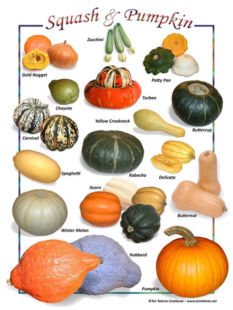 Pumpkin varieties, Squash varieties, Pumpkin squash