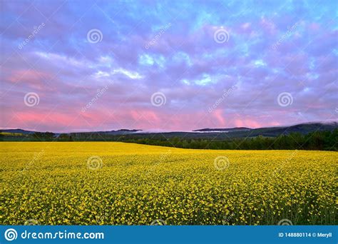 Great landscape at dusk stock photo. Image of summer - 148880114