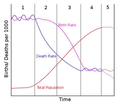 Demographic Transition Pre Industrial