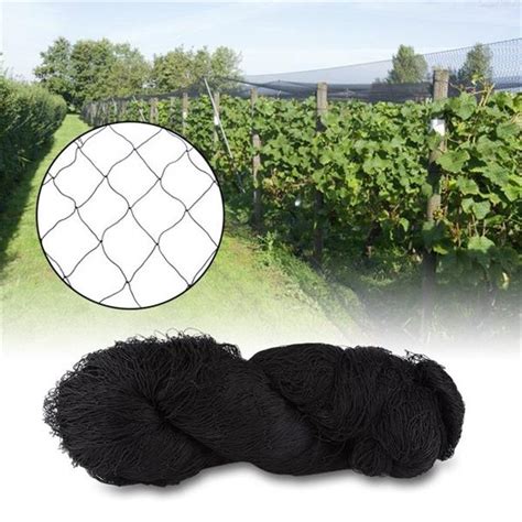 Bird Net for Farms Vineyard Agricultural Planting - Weihai Huaxing Nets