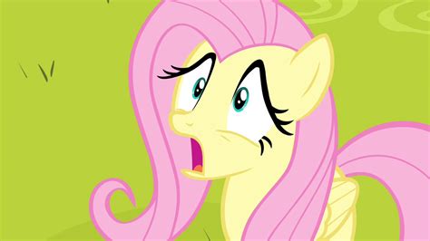 Image - Fluttershy shocked S4E14.png - My Little Pony Friendship is ...