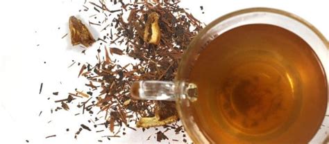 Lapacho Tea Benefits | Tea-and-Coffee.com