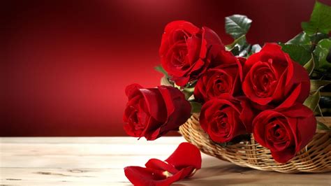 Fresh Red Roses 1280 x 720 HDTV 720p Wallpaper