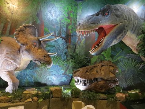 Dinosaur Journey Museum – Fruita, CO | Museum of Western Colorado