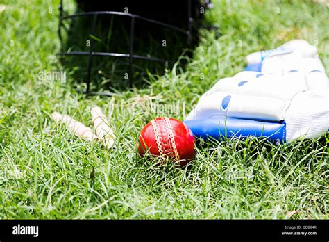 Cricket stadium grass hi-res stock photography and images - Alamy