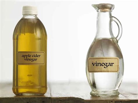 The Truth About Apple Cider Vinegar Vs White Vinegar Is About To Be Revealed - NUNC