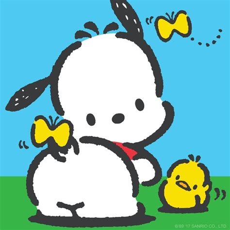 Pochacco | วอลเปเปอร์การ์ตูนน่ารัก, สติกเกอร์น่ารัก, การ์ตูน