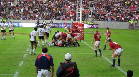 British and Irish Lions Rugby Tour South Africa 2021 - WildWeb Blog