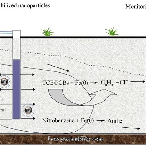 Schematic description of in situ remediation of TCE/PCBs and ...