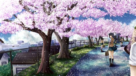 cherry blossom hd wallpapers 1080p windows | Anime cherry blossom, Cherry blossom wallpaper ...