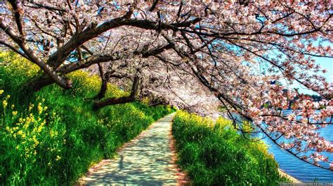 Spring Nature Scenes Wallpapers - Top Free Spring Nature Scenes Backgrounds - WallpaperAccess