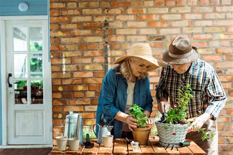 Indoor Gardening Activities For The Elderly - Tips for happy family