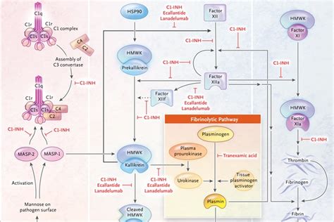 Hereditary Angioedema | NEJM Resident 360