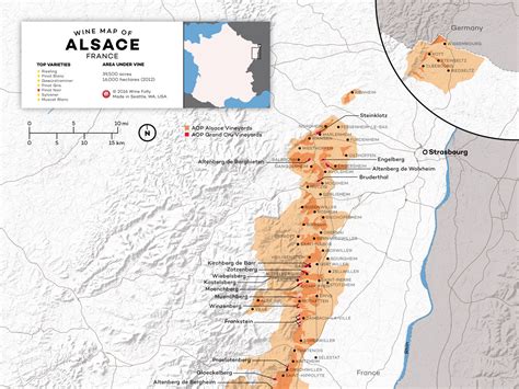 Understanding Alsace Wine (w/ Maps) | Wine Folly