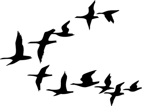 Free Animal Migration Cliparts, Download Free Animal Migration Cliparts ...