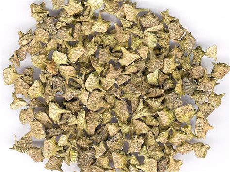 Organic Tribulus Fruit Whole Tribulus terrestris | Etsy