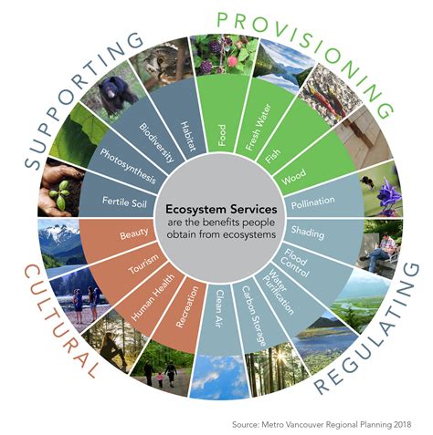 Agriculture and Natural Capital | Sustainable Orillia