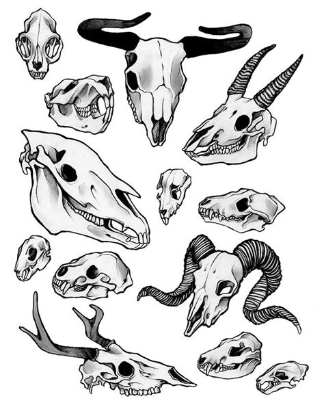 Memento | Animal skull drawing, Skull drawing, Tattoo flash art