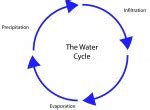 Diagram of the water cycle | WaterShed at the University of Maryland ...