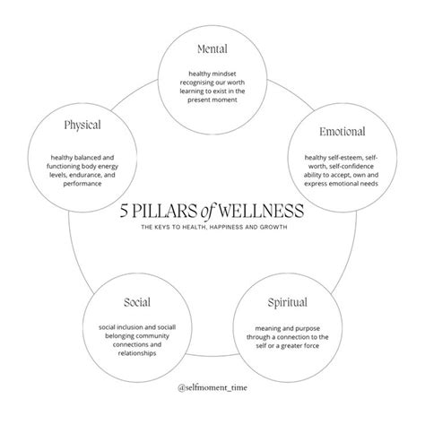 Self Moment on Instagram: "5 Pillars of Wellness The pillars of ...