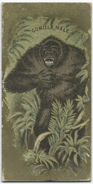 Cigarette Cards: Animals (1890) list