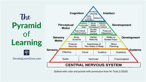 The Sensory Pyramid of Learning - DEVELOP LEARN GROW | Education help, Visual perceptual ...