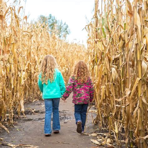 31 Best Corn Mazes Near Me - Best Haunted and Family-Friendly Corn ...