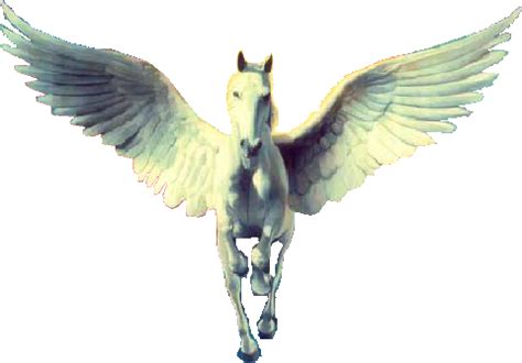 Image - TriStar Transparent.png | Sammypedia Wiki | FANDOM powered by Wikia