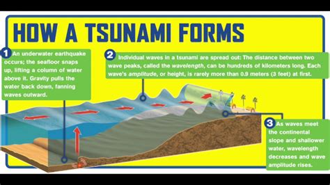 The Physics of Tsunamis - YouTube