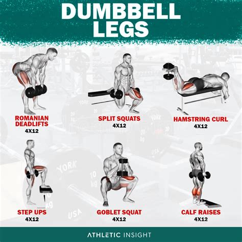 Dumbbell Legs Workout : r/workouts