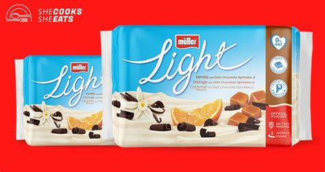 How Many Syns In Muller Light Chocolate Fix (& Others)? Find Out Here!