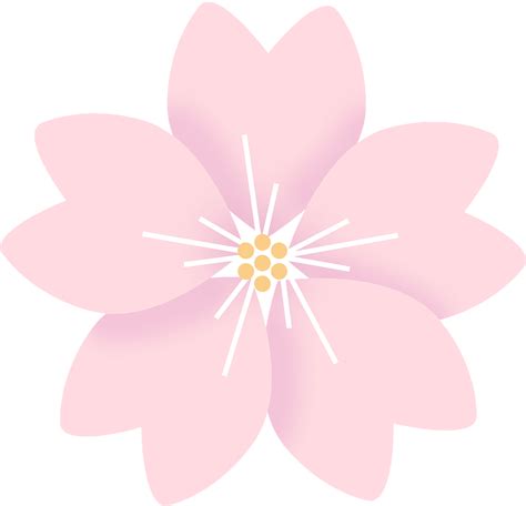 Flowers Cherry Blossom Sakura Clipart - Full Size Clipart (#2946597 ...